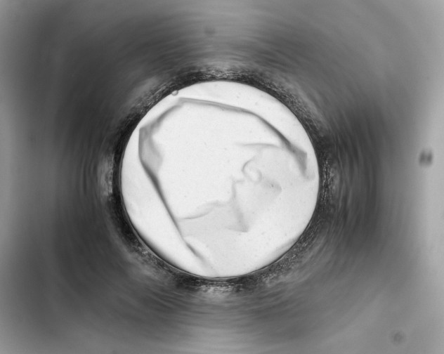 X0000101960694200808151315