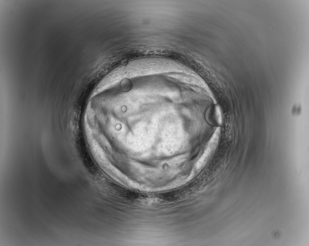 X0000101960695200808151315
