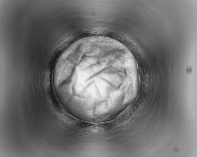 X0000101960696200808151315