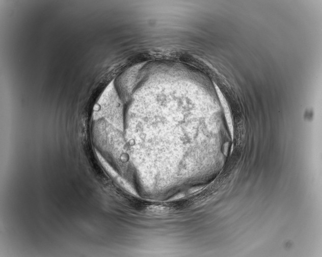 X0000101960699200808151315