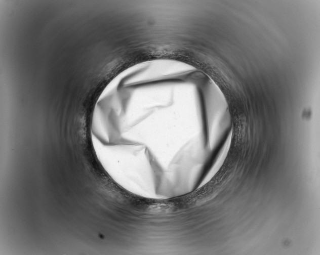 X0000101960700200808151315