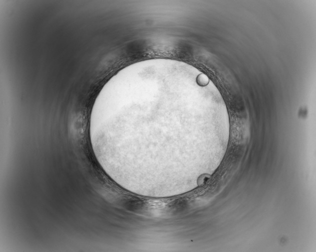 X0000101960701200808151315