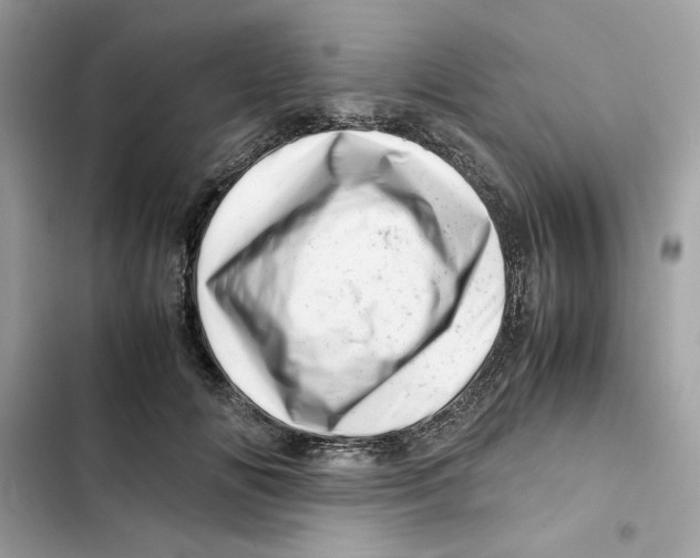 X0000101960702200808151315