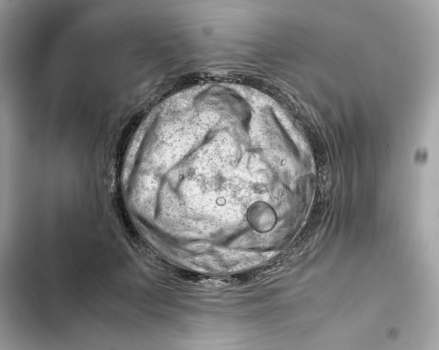 X0000101960703200808151315
