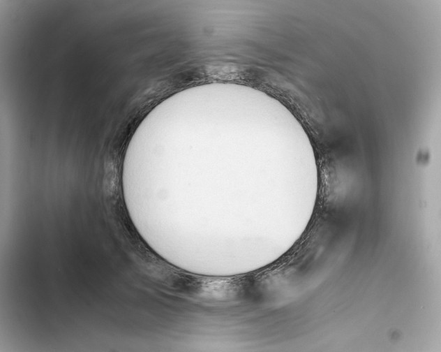 X0000101960705200808151315