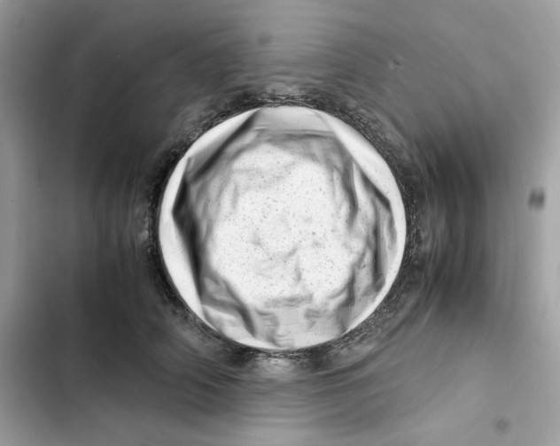 X0000101960706200808151315