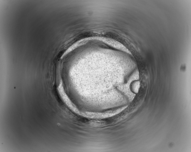 X0000101960707200808151315