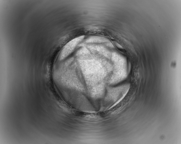 X0000101960708200808151315