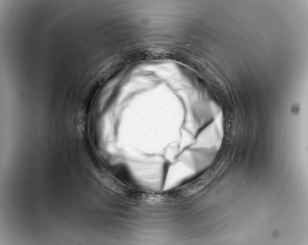 X0000101960710200808151315