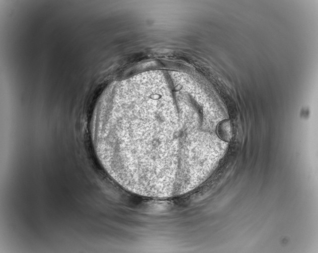 X0000101960711200808151315