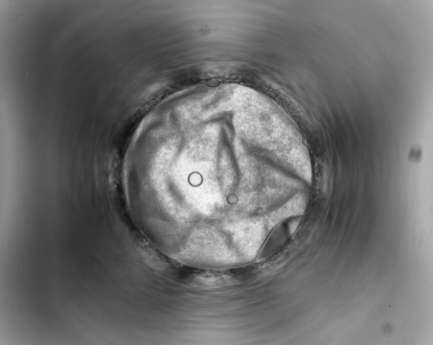 X0000101960712200808151315