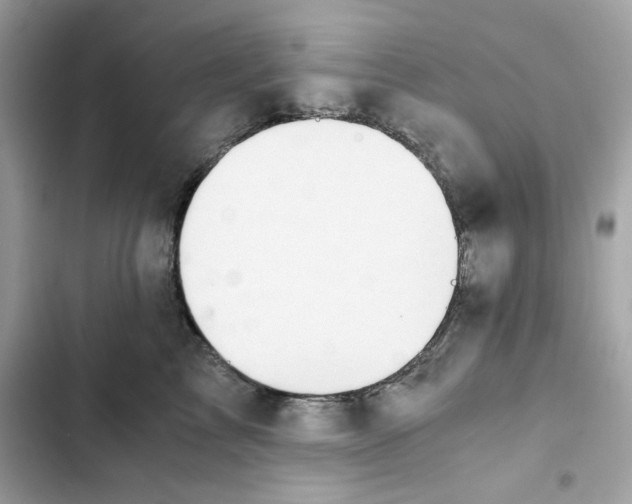 X0000101960713200808151315