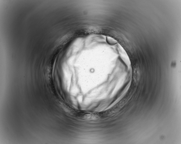 X0000101960714200808151315
