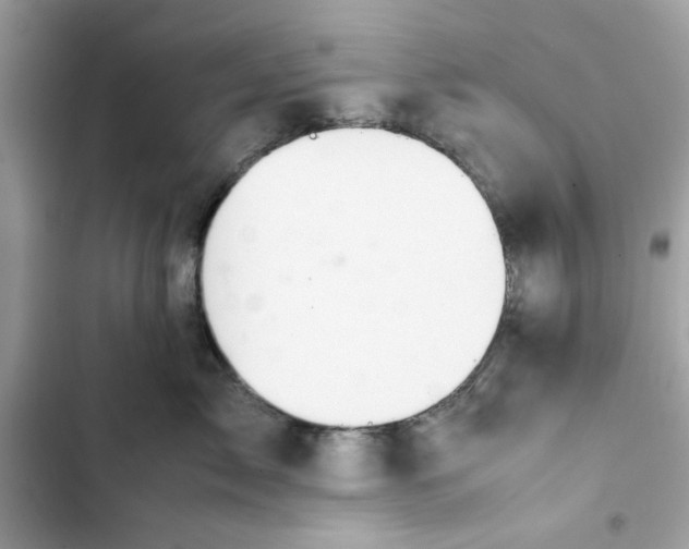 X0000101960717200808151315
