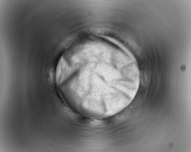 X0000101960718200808151315