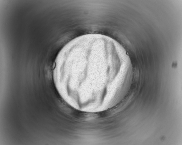 X0000101960719200808151315