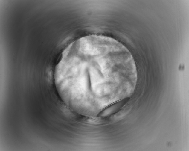 X0000101960720200808151315