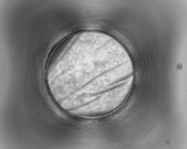X0000101960721200808151314