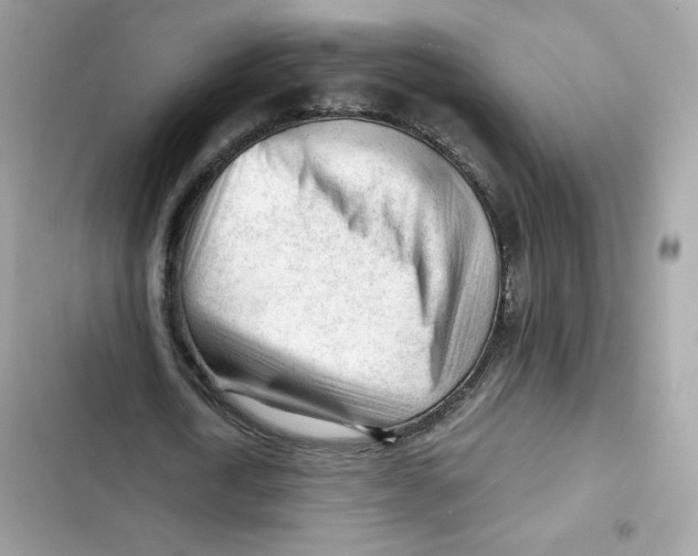 X0000101960722200808151314