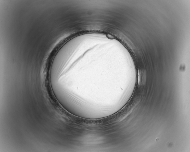X0000101960723200808151314