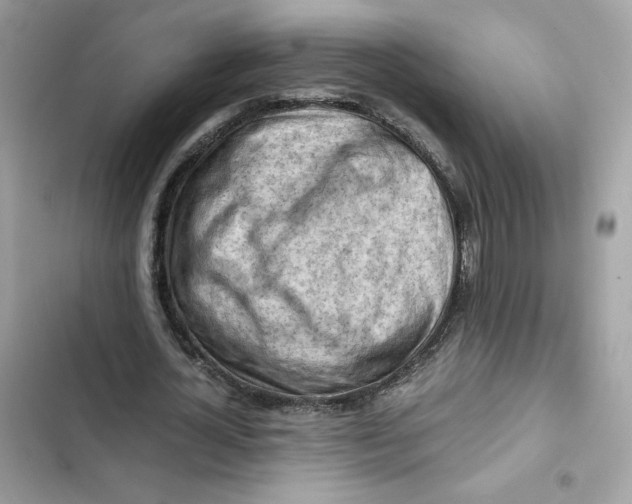 X0000101960724200808151314