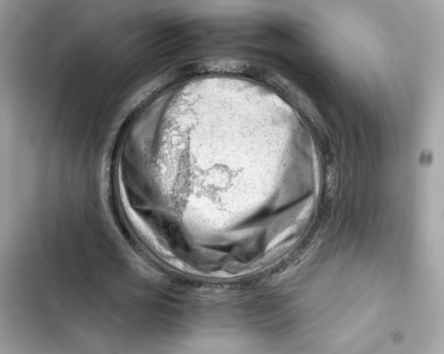 X0000101960725200808151314