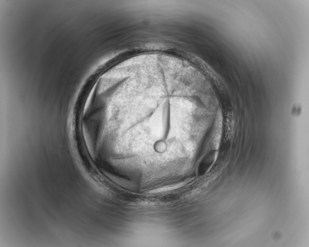 X0000101960726200808151314