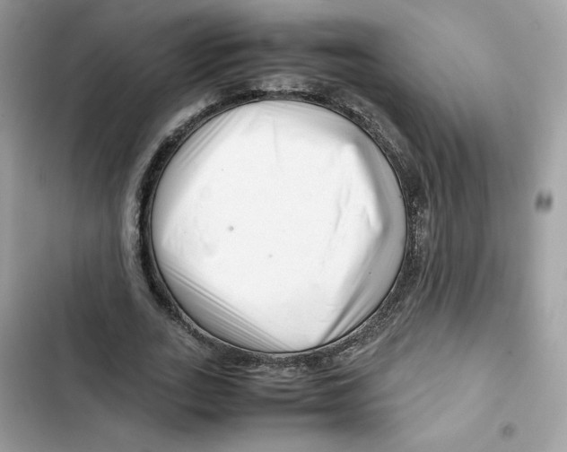 X0000101960727200808151314