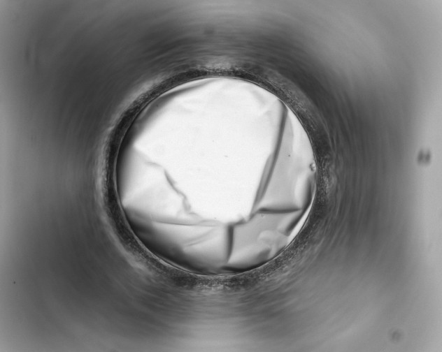 X0000101960728200808151314