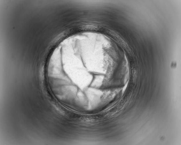 X0000101960729200808151314