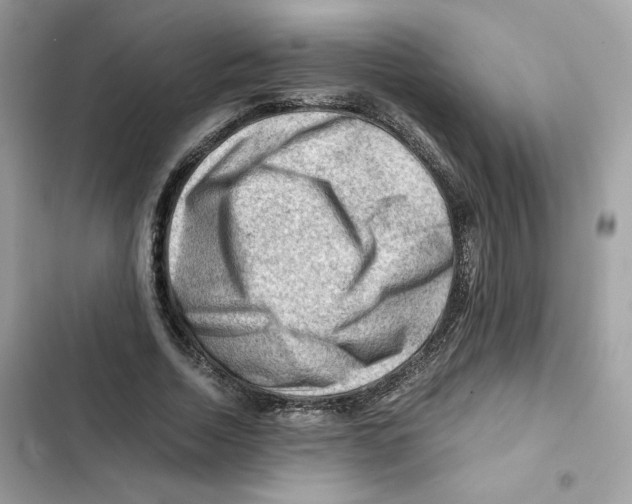 X0000101960730200808151314