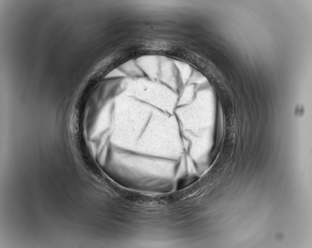 X0000101960731200808151314