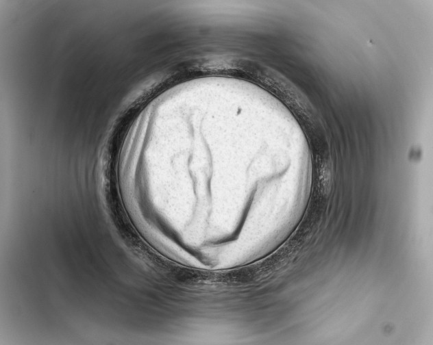 X0000101960732200808151314