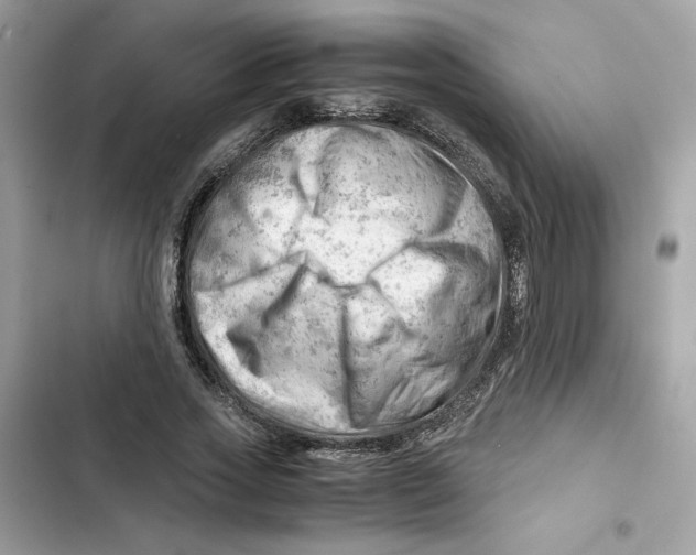 X0000101960733200808151314