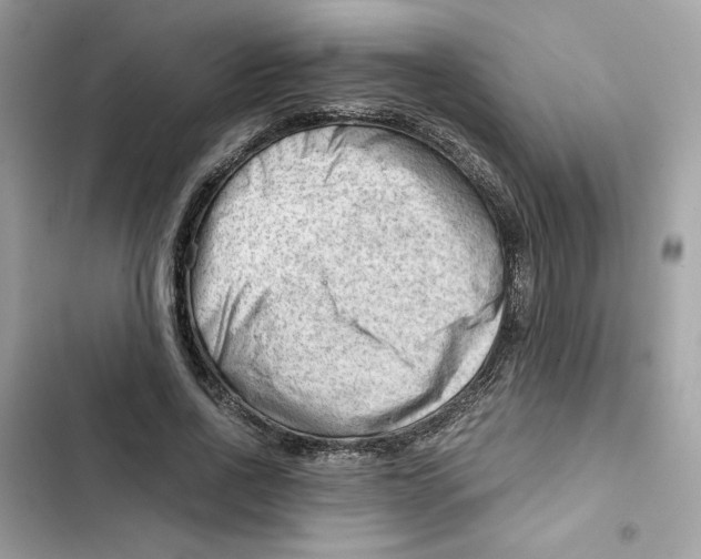 X0000101960734200808151314