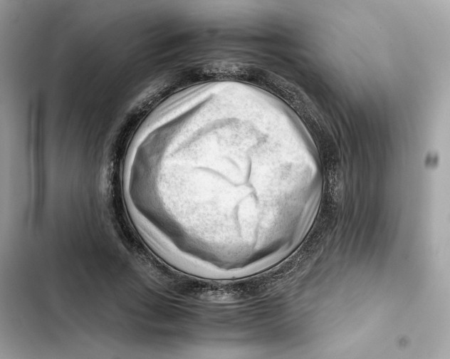 X0000101960735200808151314