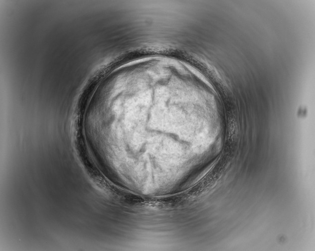 X0000101960736200808151314