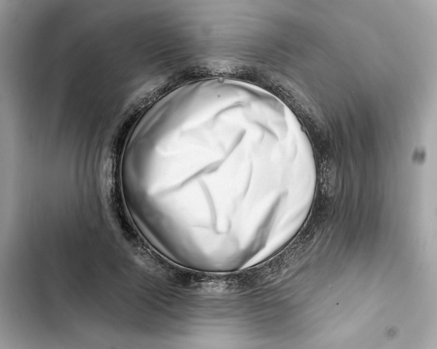 X0000101960740200808151315