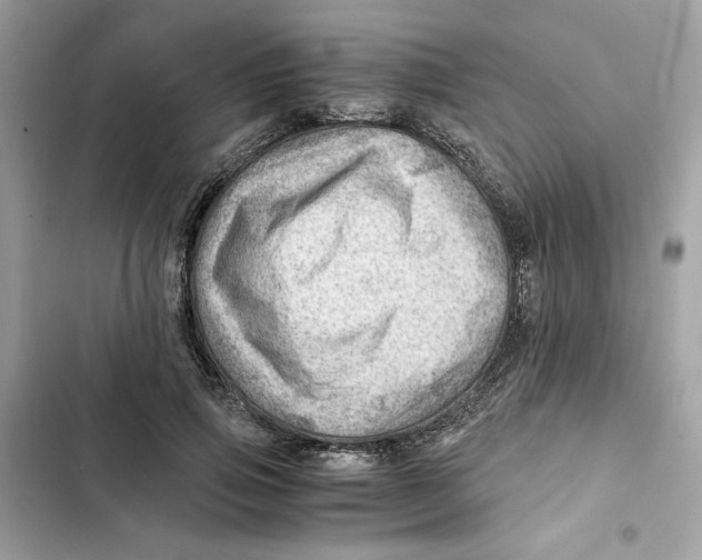 X0000101960741200808151315