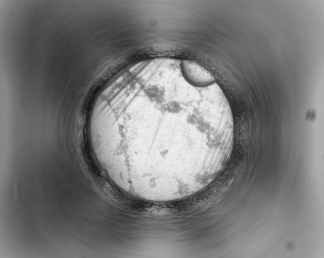 X0000101960742200808151315