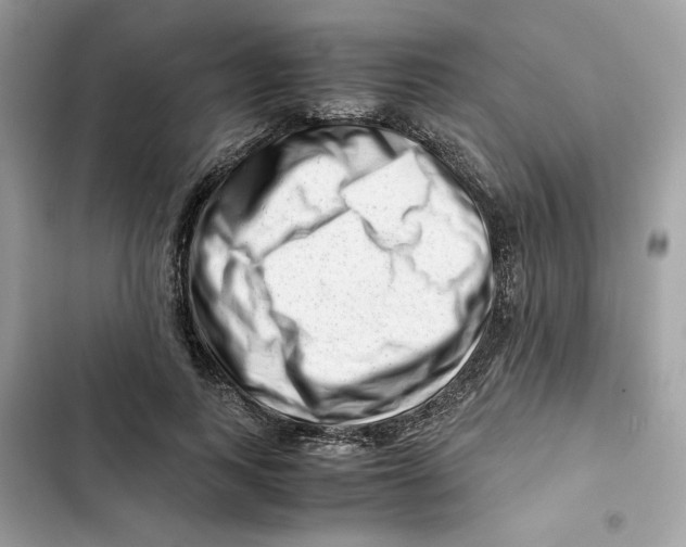 X0000101960743200808151315