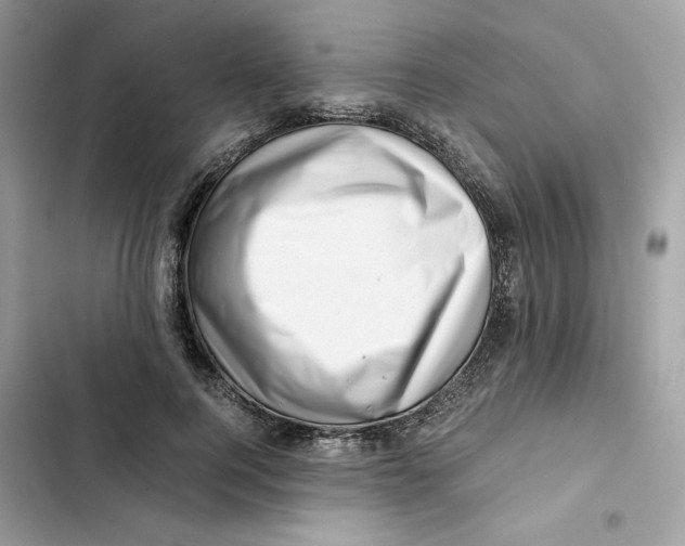 X0000101960744200808151315