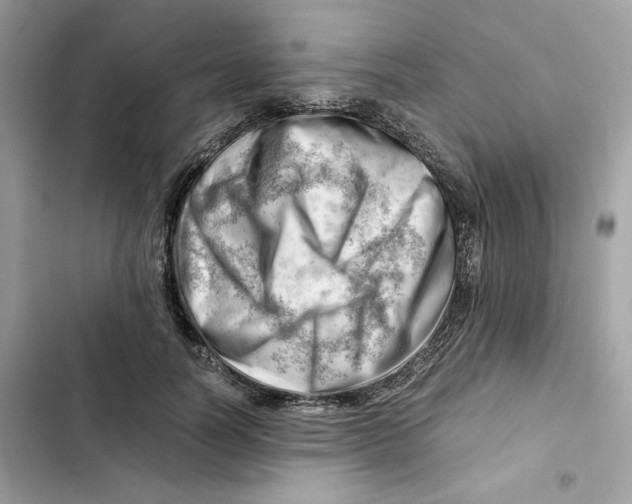 X0000101960746200808151315