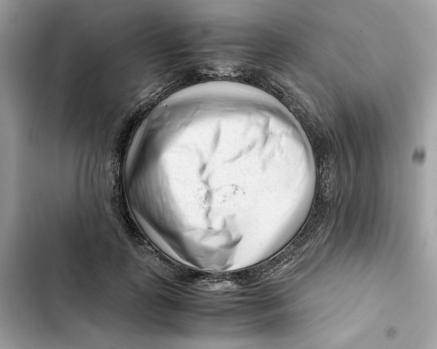 X0000101960747200808151315