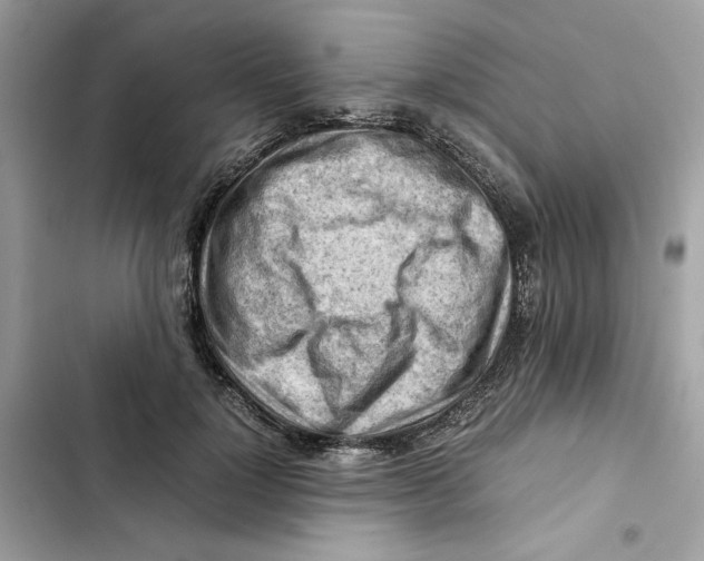 X0000101960748200808151315