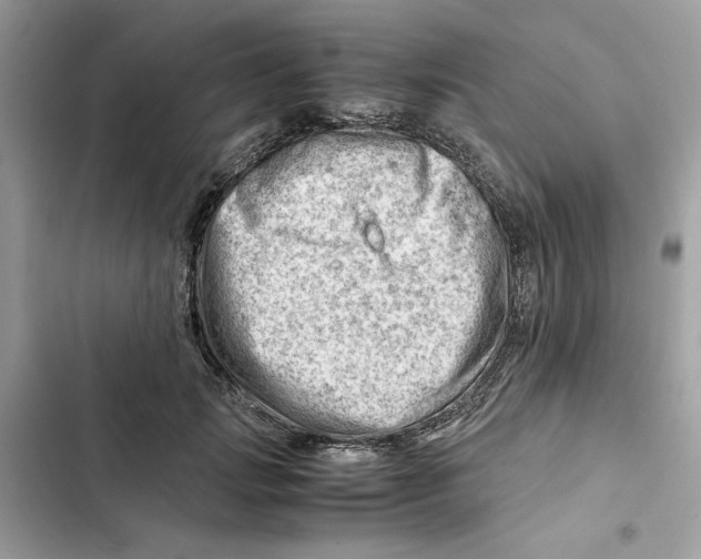 X0000101960749200808151315