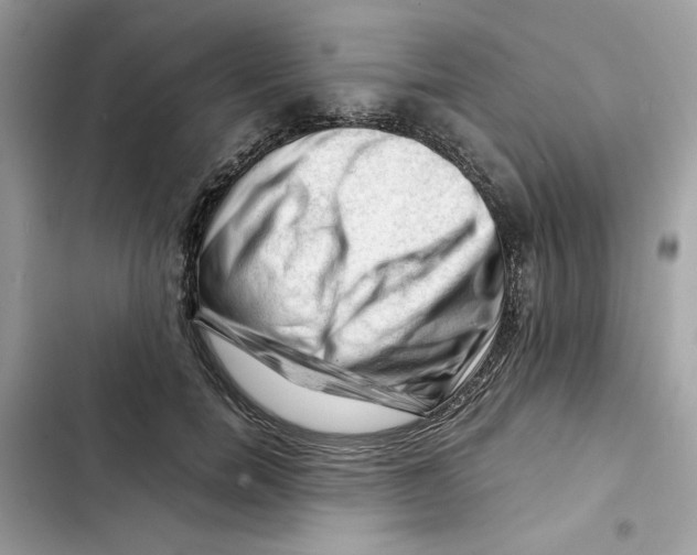 X0000101960750200808151315