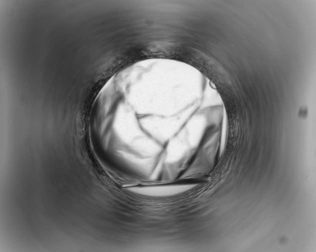 X0000101960751200808151315