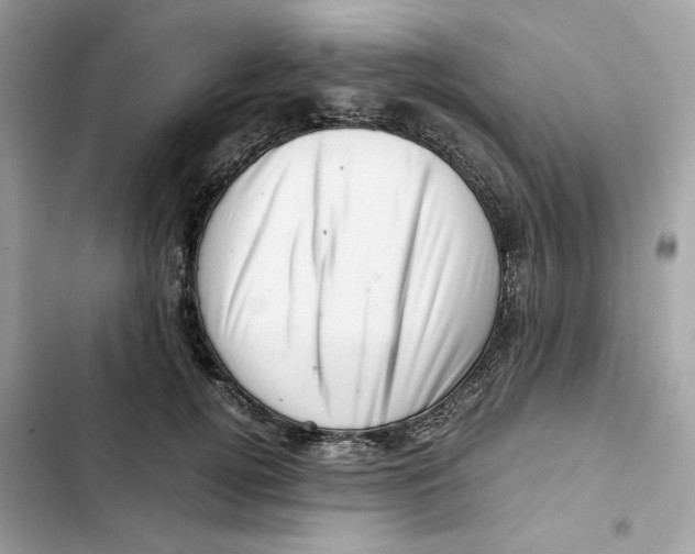 X0000101960752200808151315