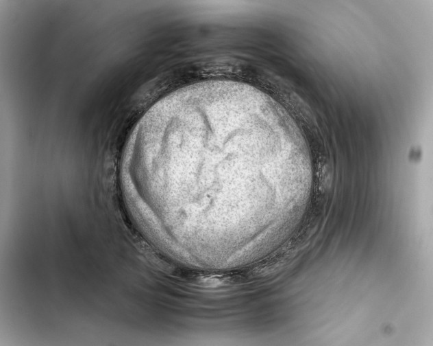 X0000101960753200808151315